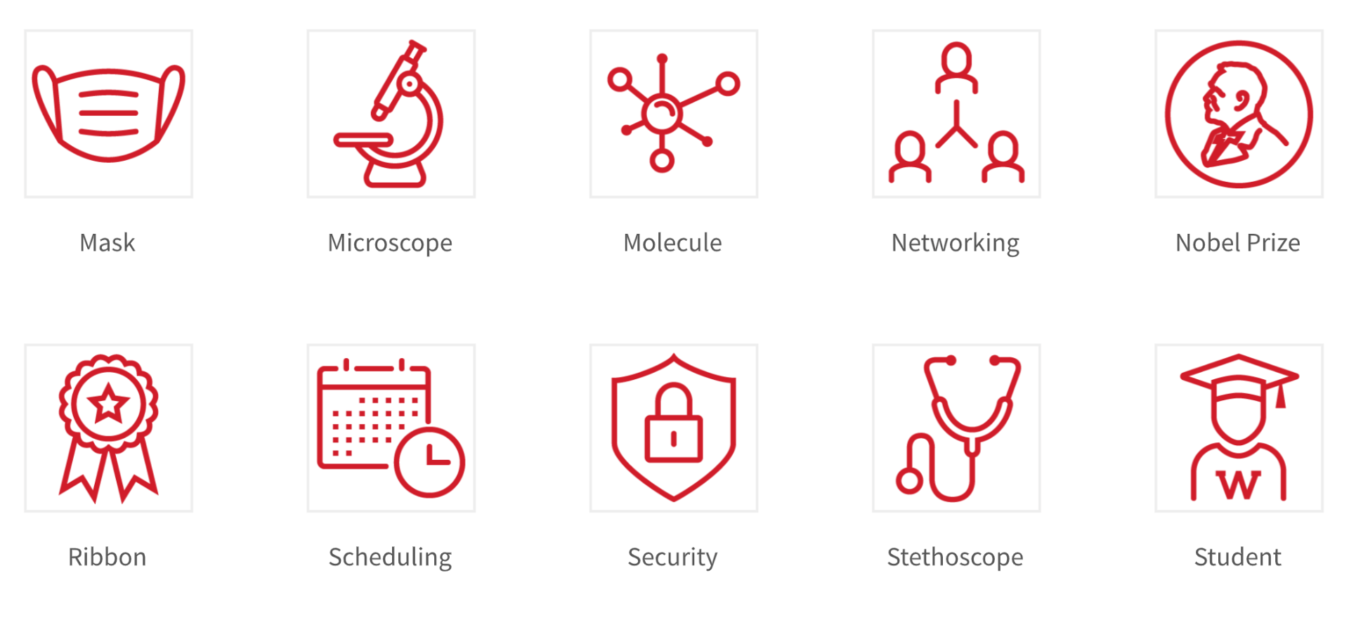 Screenshot: Red mono-line style icons for Mask, Microscope, Molecule, Network, Nobel, Ribbon, Scheduling, Security, Stethoscope, Student